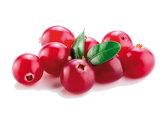 Cranberries